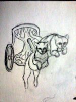 Cat Chariot